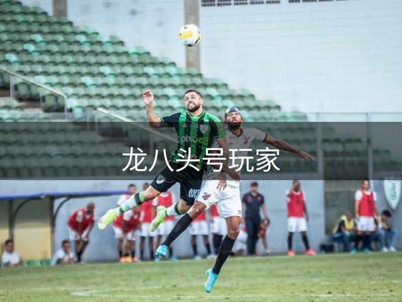 龙八(头号玩家)唯一官方网站